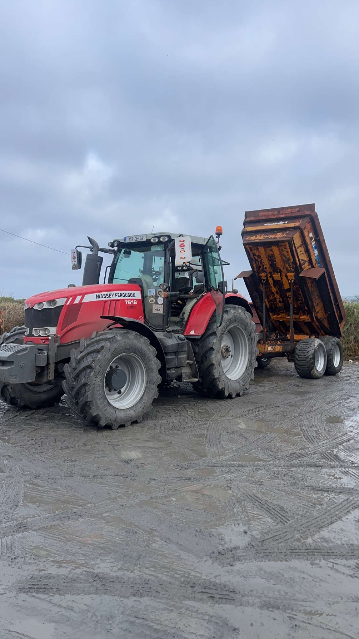 Massey Ferguson Standard Mirror Guard